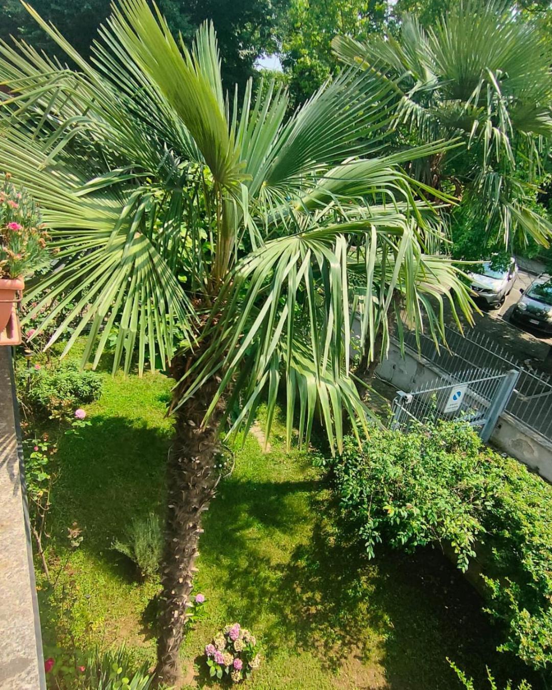维纳利亚瑞勒La Magnolia公寓 外观 照片